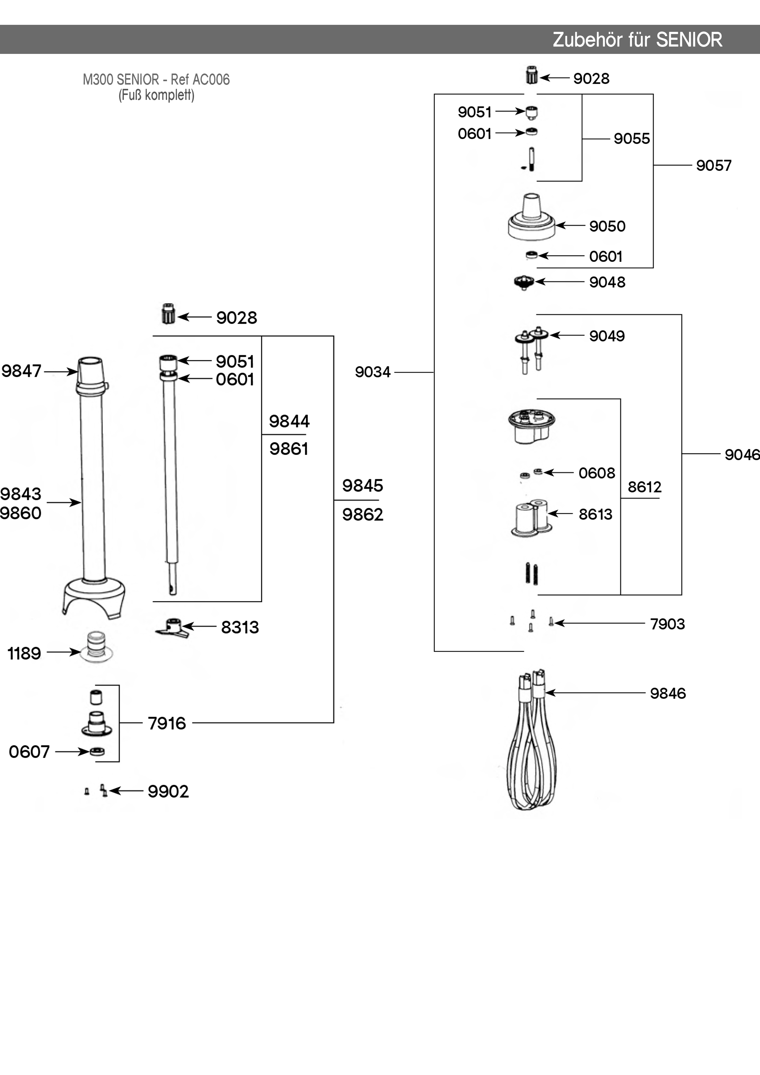 Senior Mixsatb M300, M 400 & Rührbesen (AC006, AC016 & AC007)